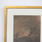 Barren Tree Lithgraph - elsie green - art