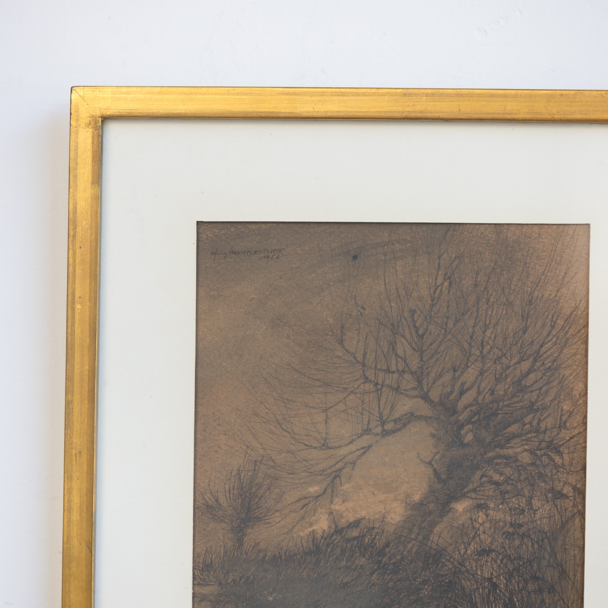Barren Tree Lithgraph - elsie green - art