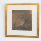 Barren Tree Lithgraph - elsie green - art