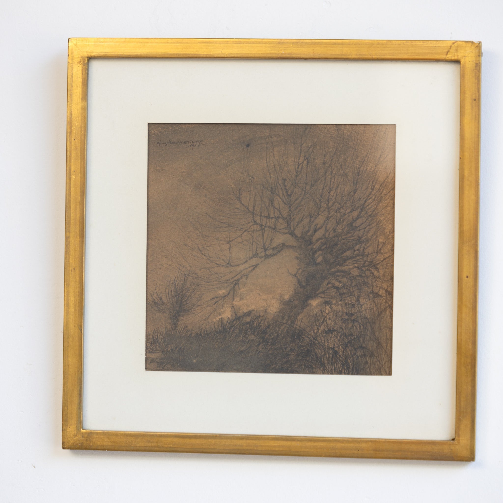 Barren Tree Lithgraph - elsie green - art