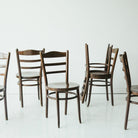 Baumann Dining Chair - elsie green - furniture