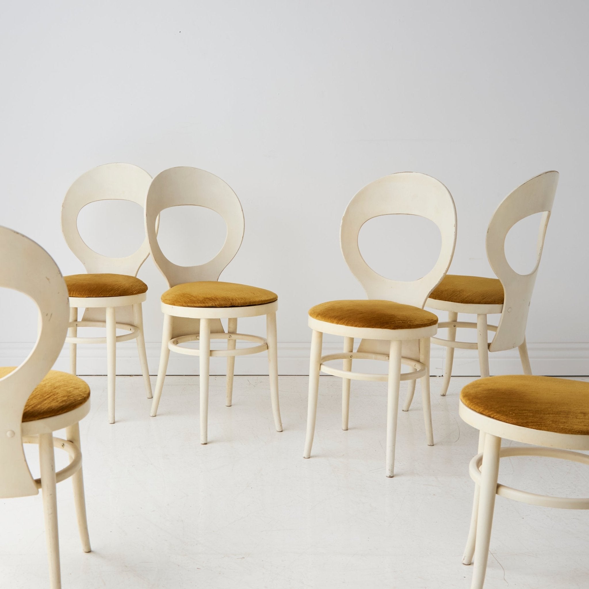 Baumann Seagull Dining Chair - elsie green - furniture