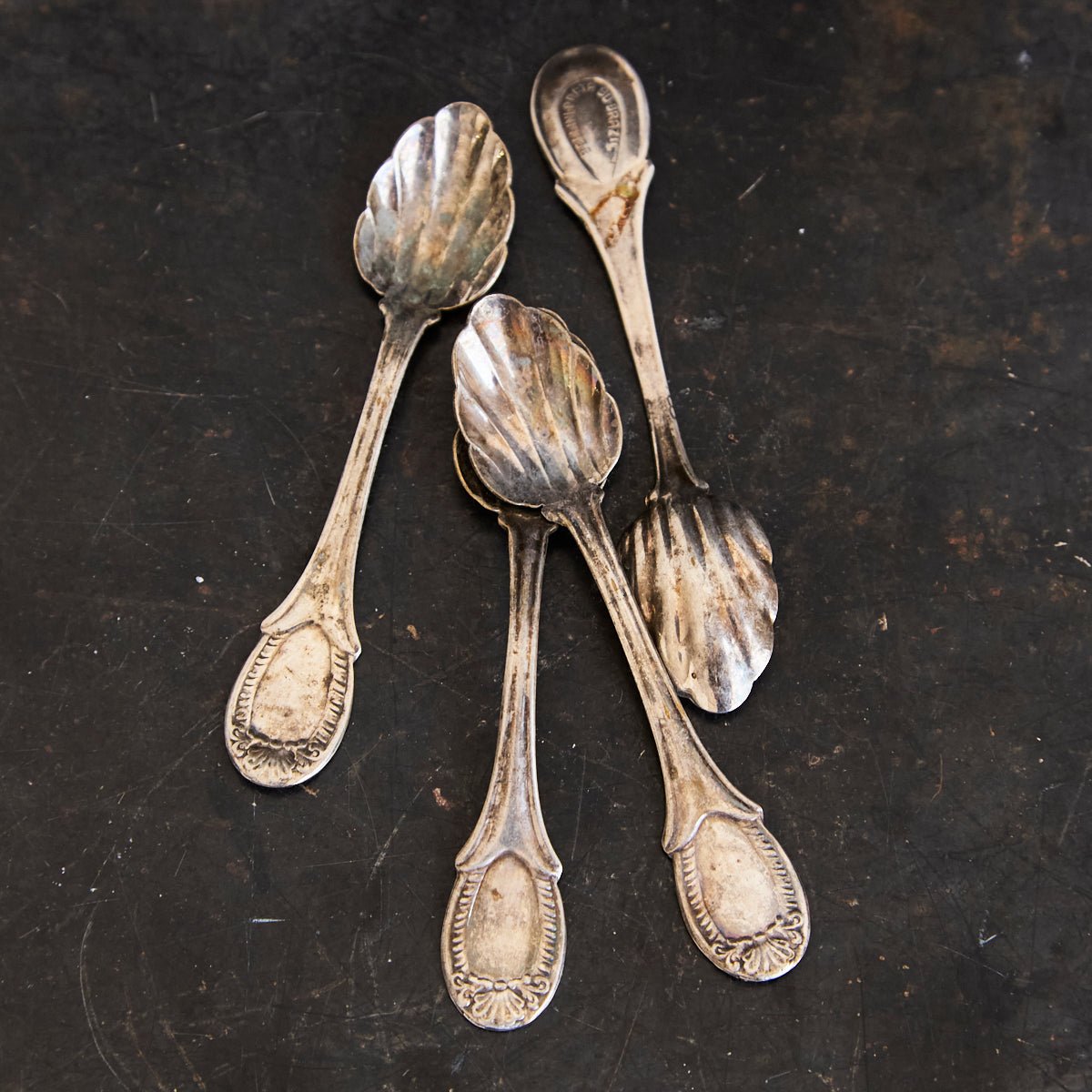 Bellini Prata Shell Salt Spoon Set of 4 | The Patrick Orbe Collection - elsie green - the french kitchen