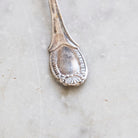 Bellini Prata Shell Salt Spoon Set of 4 | The Patrick Orbe Collection - elsie green - the french kitchen