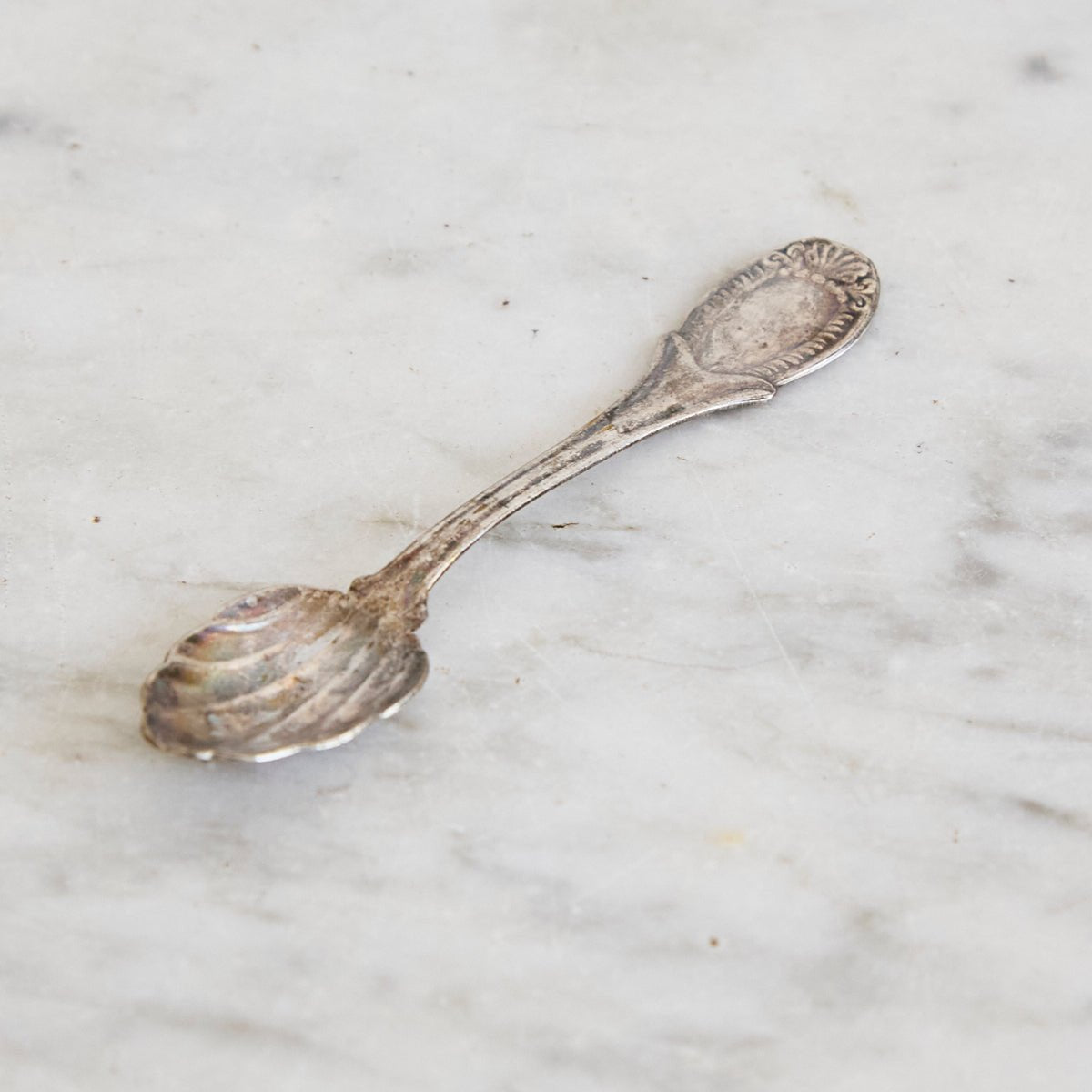 Bellini Prata Shell Salt Spoon Set of 4 | The Patrick Orbe Collection - elsie green - the french kitchen