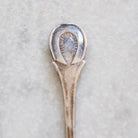 Bellini Prata Shell Salt Spoon Set of 4 | The Patrick Orbe Collection - elsie green - the french kitchen