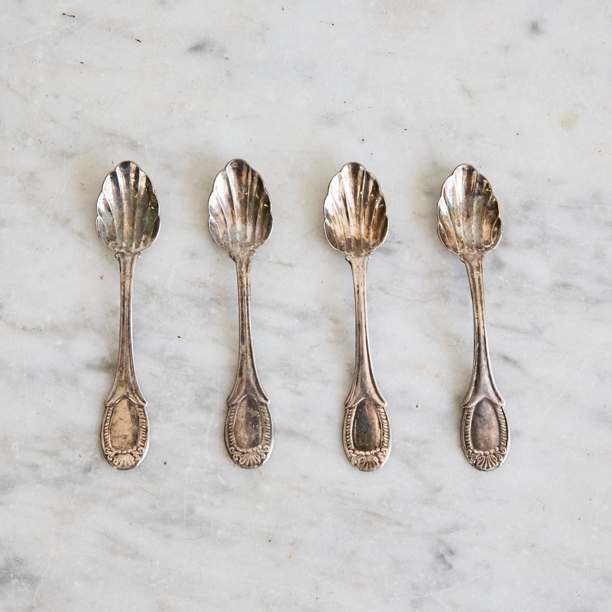 Bellini Prata Shell Salt Spoon Set of 4 | The Patrick Orbe Collection - elsie green - the french kitchen