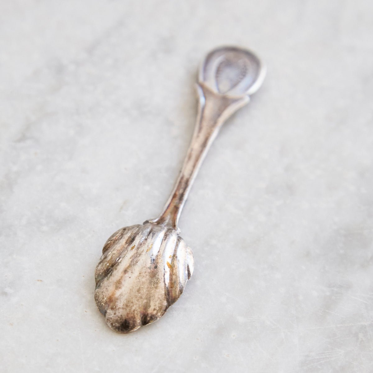 Bellini Prata Shell Salt Spoon Set of 4 | The Patrick Orbe Collection - elsie green - the french kitchen