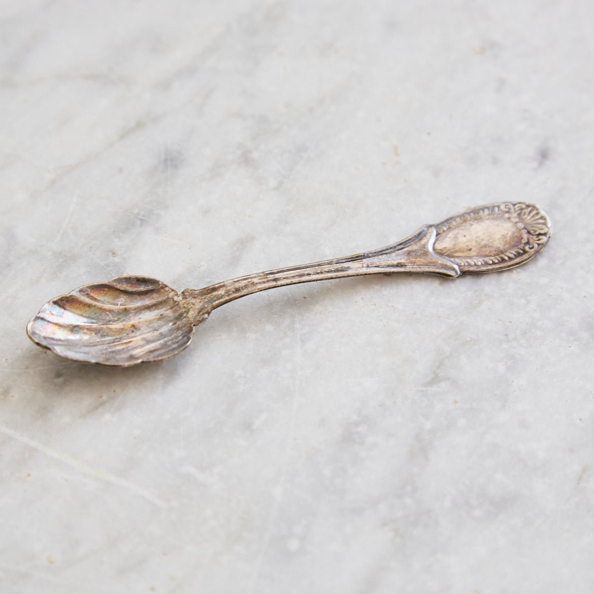Bellini Prata Shell Salt Spoon Set of 4 | The Patrick Orbe Collection - elsie green - the french kitchen