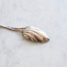 Bellini Prata Shell Salt Spoon Set of 4 | The Patrick Orbe Collection - elsie green - the french kitchen