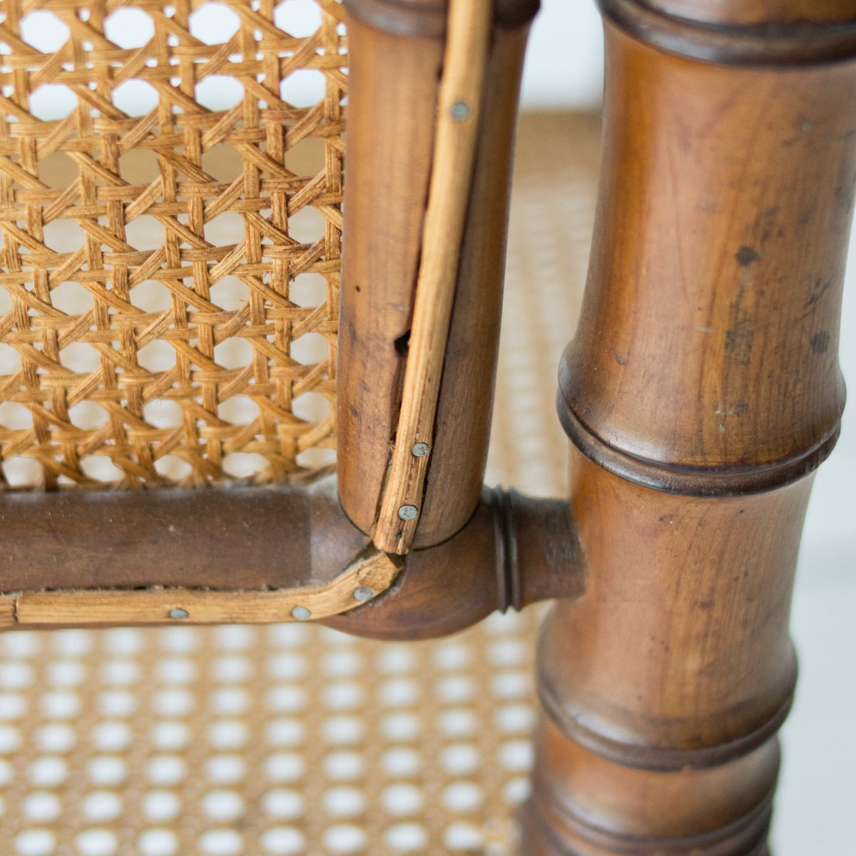 Birds - eye Cane Bamboo Arm Chair - elsie green - furniture