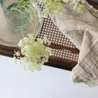 Birds - eye Cane Bench - elsie green - furniture
