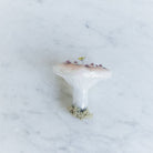 Blown Glass Mushroom Ornament - elsie green - decor