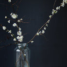 Blown Glass Pickling Jar - elsie green - Decor