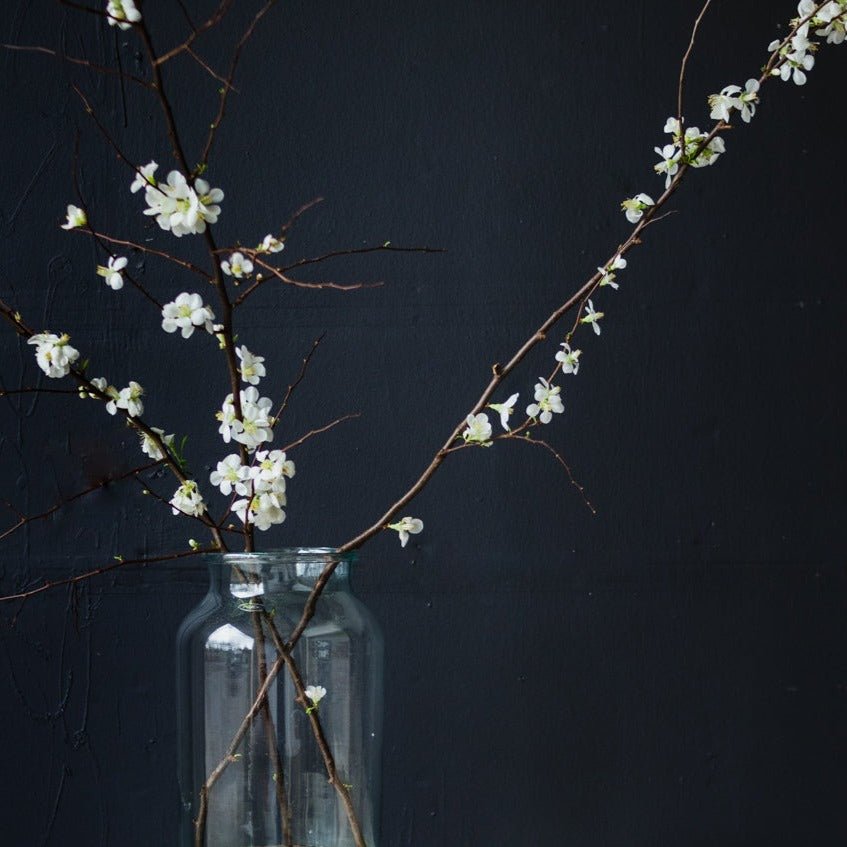 Blown Glass Pickling Jar - elsie green - Decor