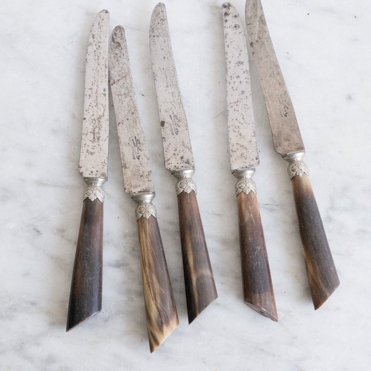 Bone Knife with Stamped Blade Set of 6 - elsie green - the french kitchen