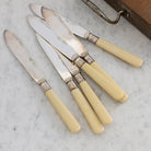 Bone & Sterling Spreader Set of 6 - elsie green - the french kitchen
