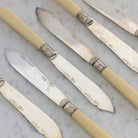 Bone & Sterling Spreader Set of 6 - elsie green - the french kitchen