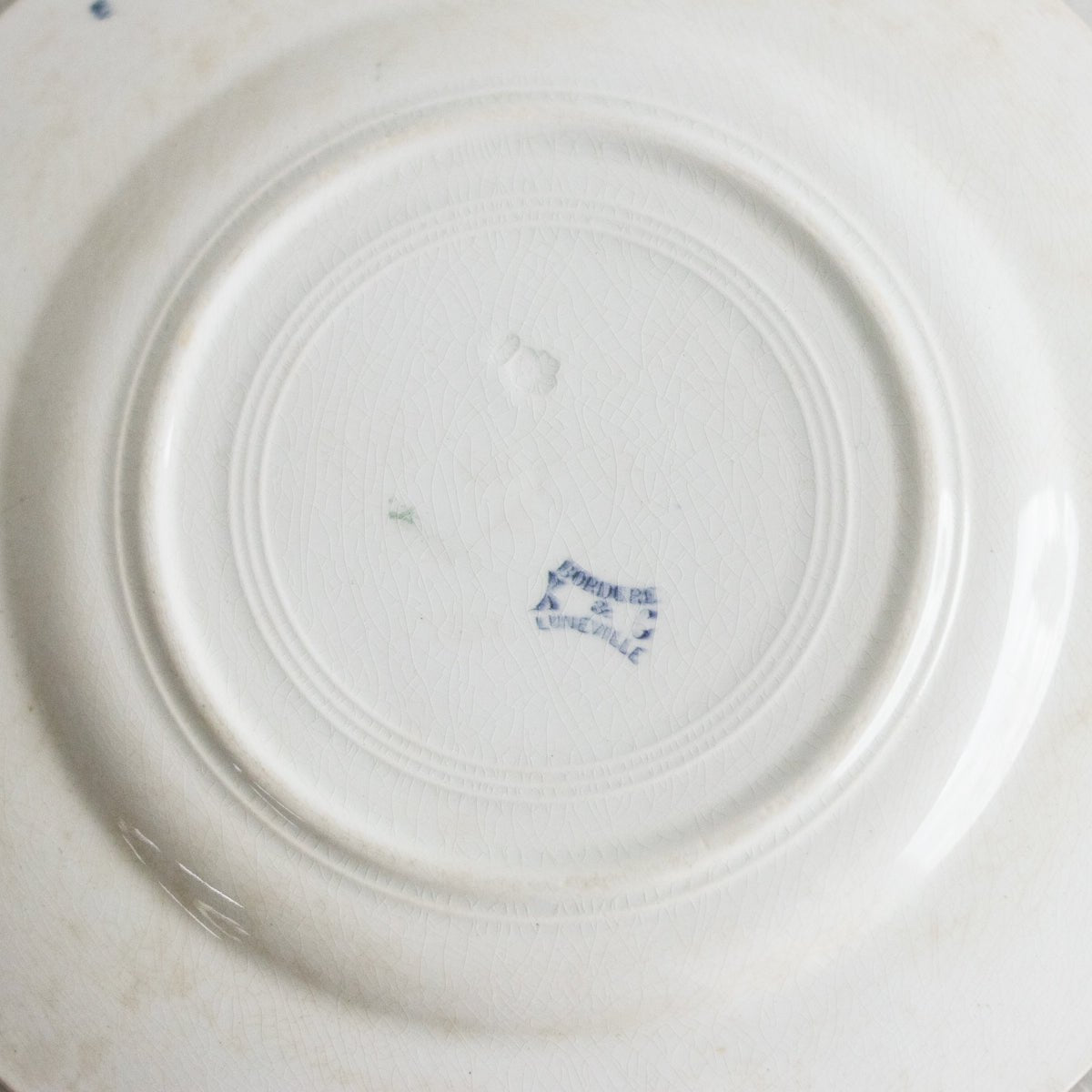 Bordure Transferware Plate Set of 11 - elsie green - The French Kitchen