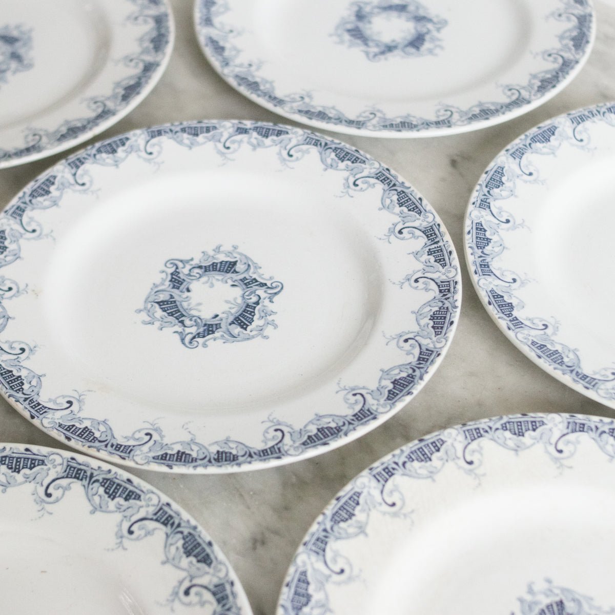 Bordure Transferware Plate Set of 11 - elsie green - The French Kitchen