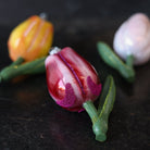 Botanical Tulip Blown Glass Ornament - elsie green - decor
