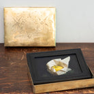 Box Series | The Ore of August | Jefferson Hayman - elsie green - art