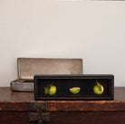 Box Series | The Path | Jefferson Hayman - elsie green - art