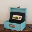Box Series | Three Blueberries | Jefferson Hayman - elsie green - art