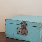 Box Series | Three Blueberries | Jefferson Hayman - elsie green - art