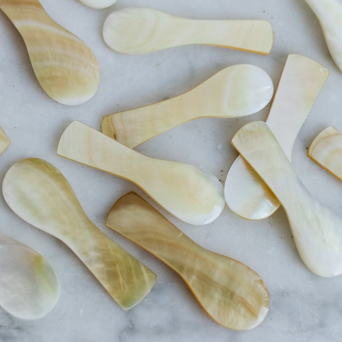 Brass Balancing Plate with 14 Petite Shell Spoons - elsie green - The French Kitchen