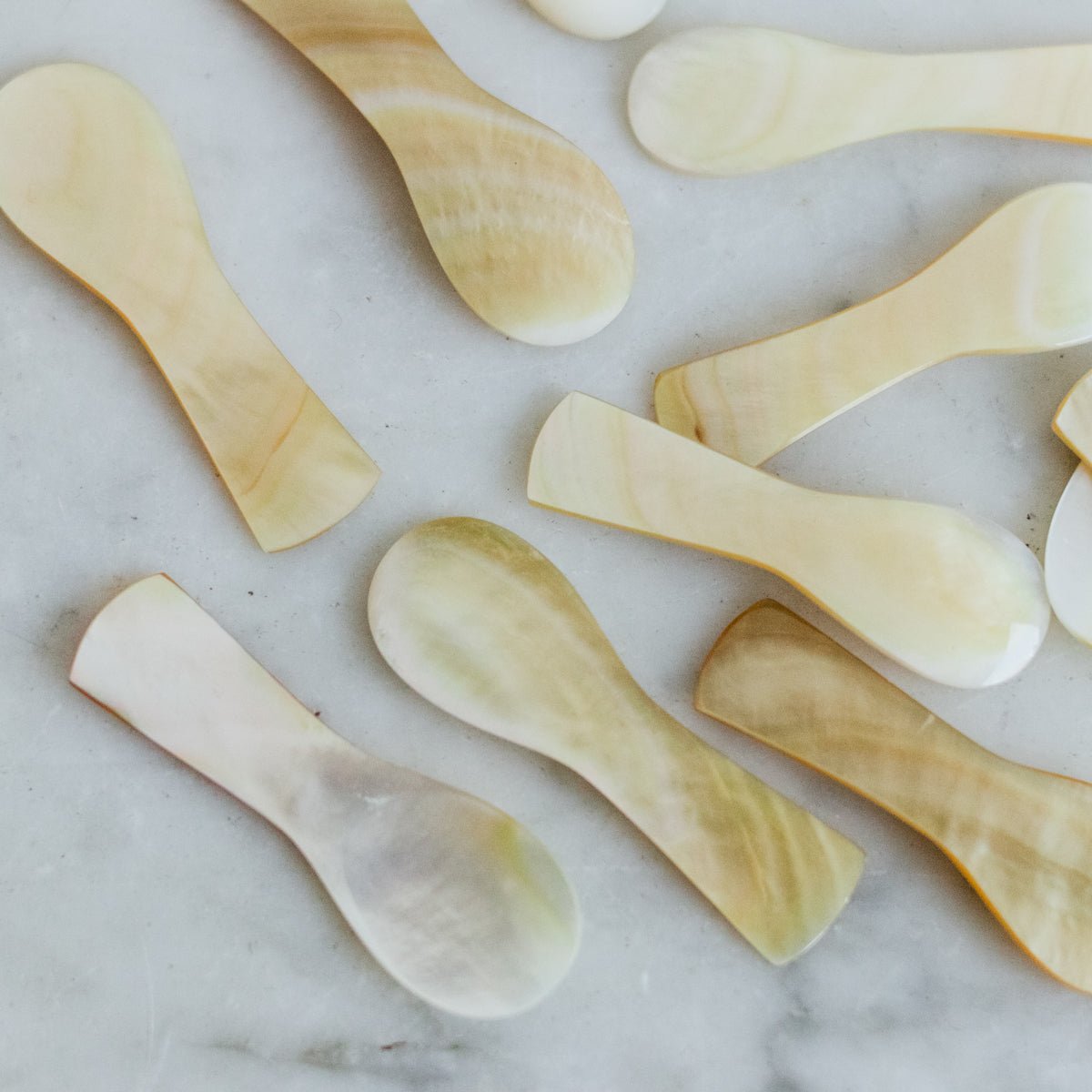 Brass Balancing Plate with 14 Petite Shell Spoons - elsie green - The French Kitchen
