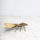 Brass Bee Ashtray - elsie green - decor