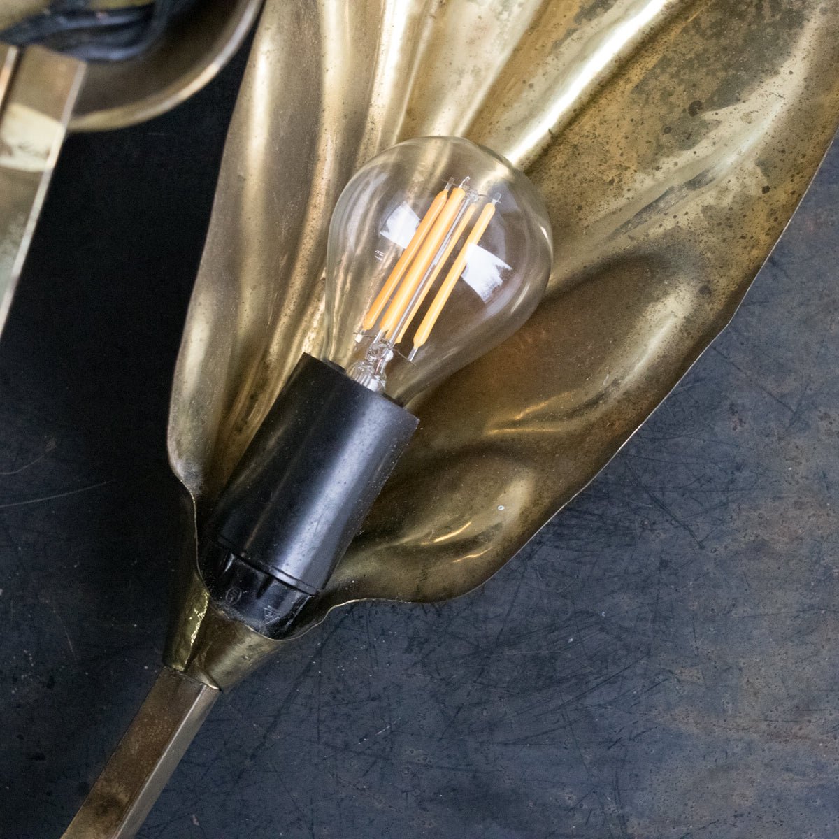 Brass Botanical Sconce | Tommaso Barbi - elsie green - decor