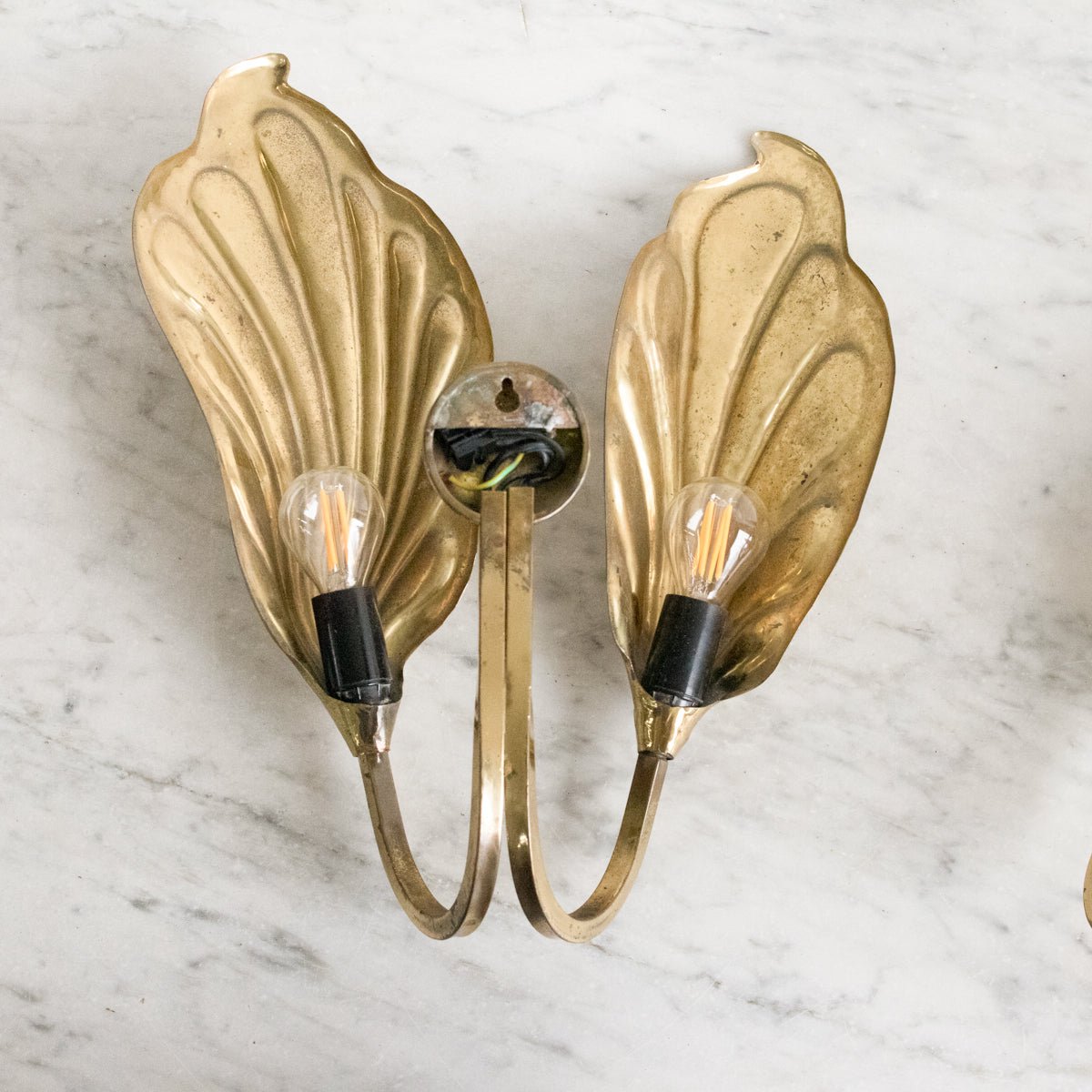Brass Botanical Sconce | Tommaso Barbi - elsie green - decor
