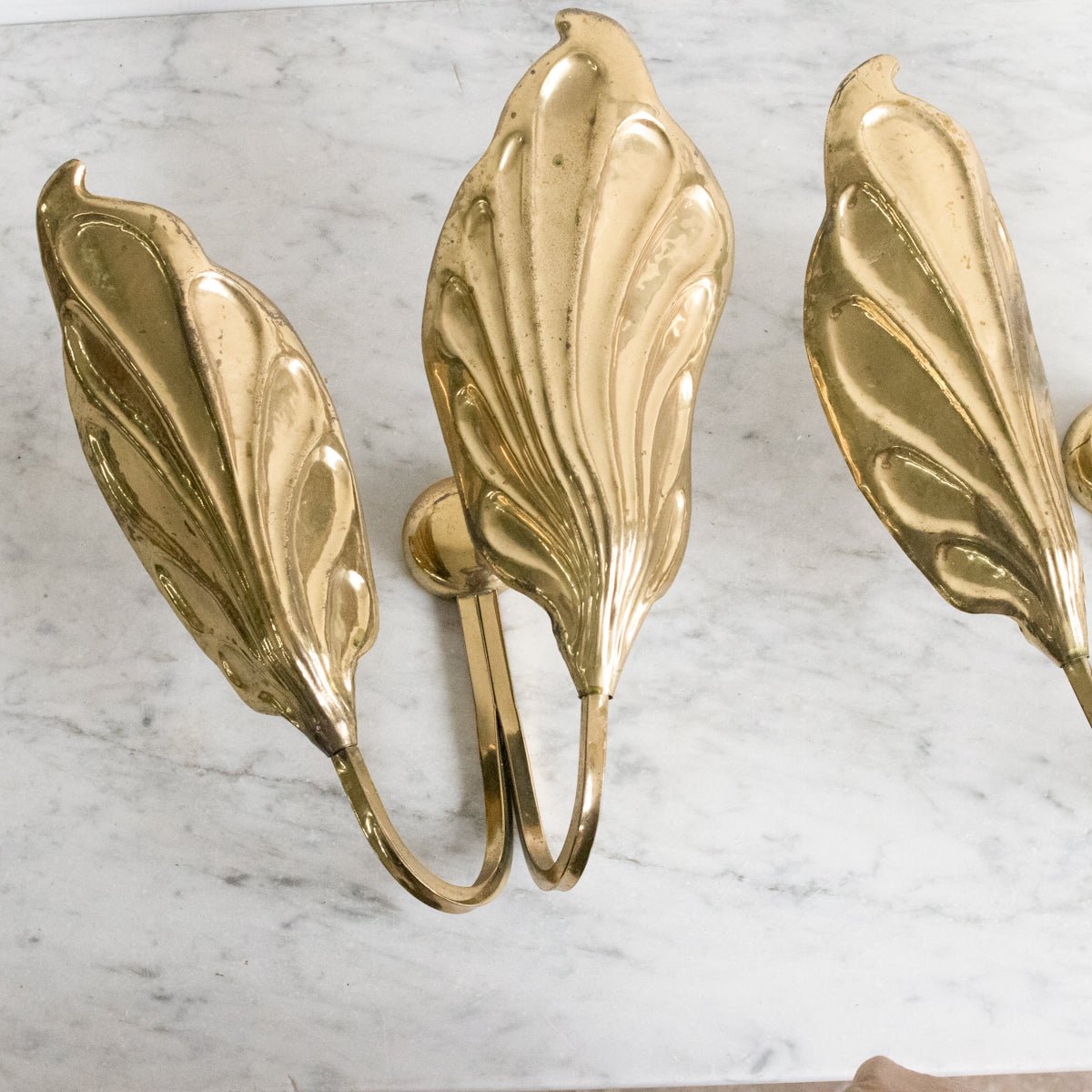 Brass Botanical Sconce | Tommaso Barbi - elsie green - decor