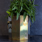 Brass Cachepot - elsie green - decor