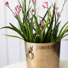 Brass Cachepot with Lion Handles - elsie green - decor