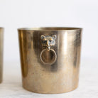 Brass Cachepot with Lion Handles - elsie green - decor
