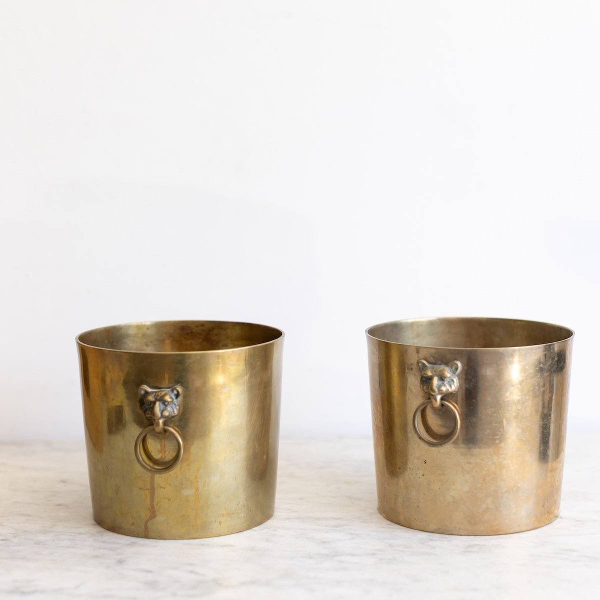 Brass Cachepot with Lion Handles - elsie green - decor
