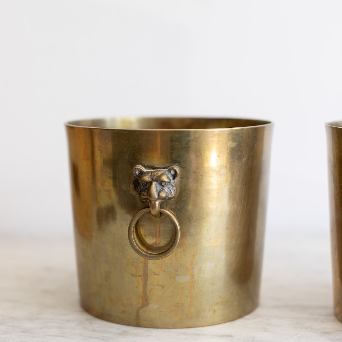 Brass Cachepot with Lion Handles - elsie green - decor