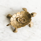 Brass Turtle Vide Poche - elsie green - decor