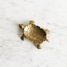 Brass Turtle Vide Poche - elsie green - decor