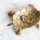 Brass Turtle Vide Poche - elsie green - decor