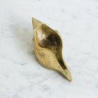Brass Vide Poche - elsie green - Decor