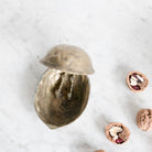 Brass Walnut Nutcracker - elsie green - The French Kitchen