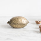 Brass Walnut Nutcracker - elsie green - The French Kitchen