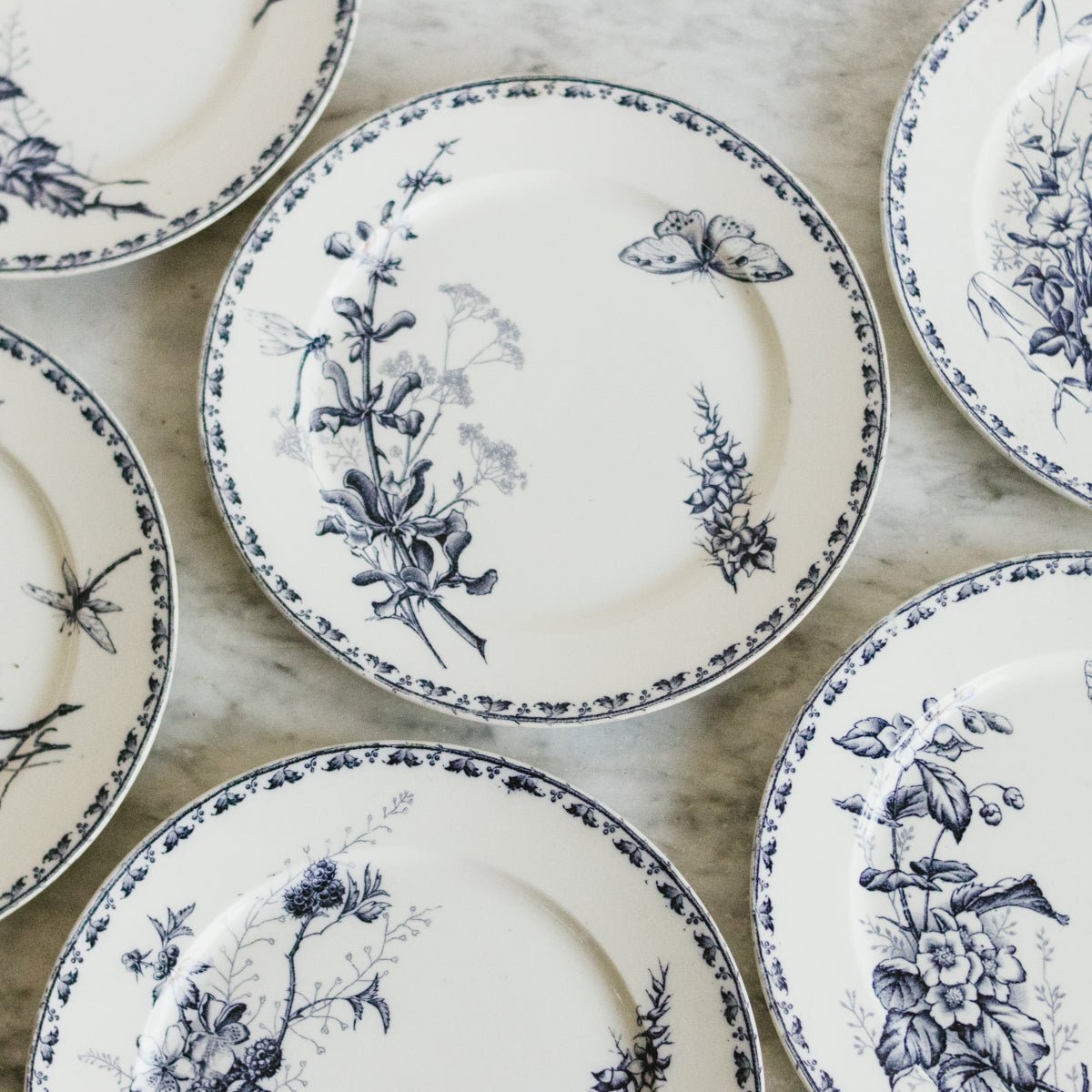 Carmen Transferware Plate Set Of 4 - elsie green - the french kitchen