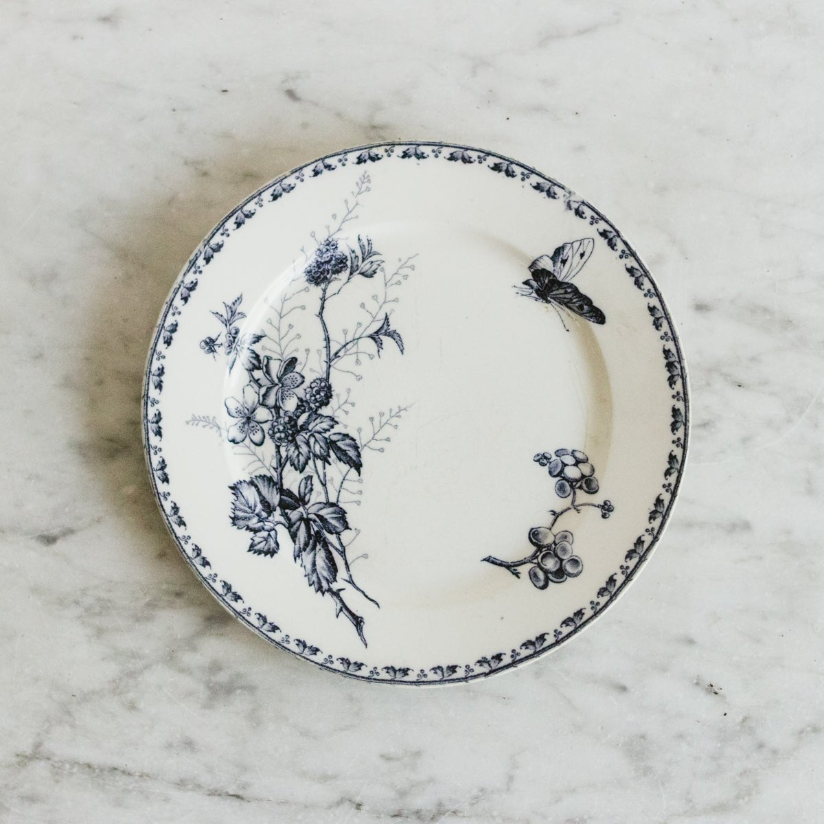 Carmen Transferware Plate Set Of 4 - elsie green - the french kitchen