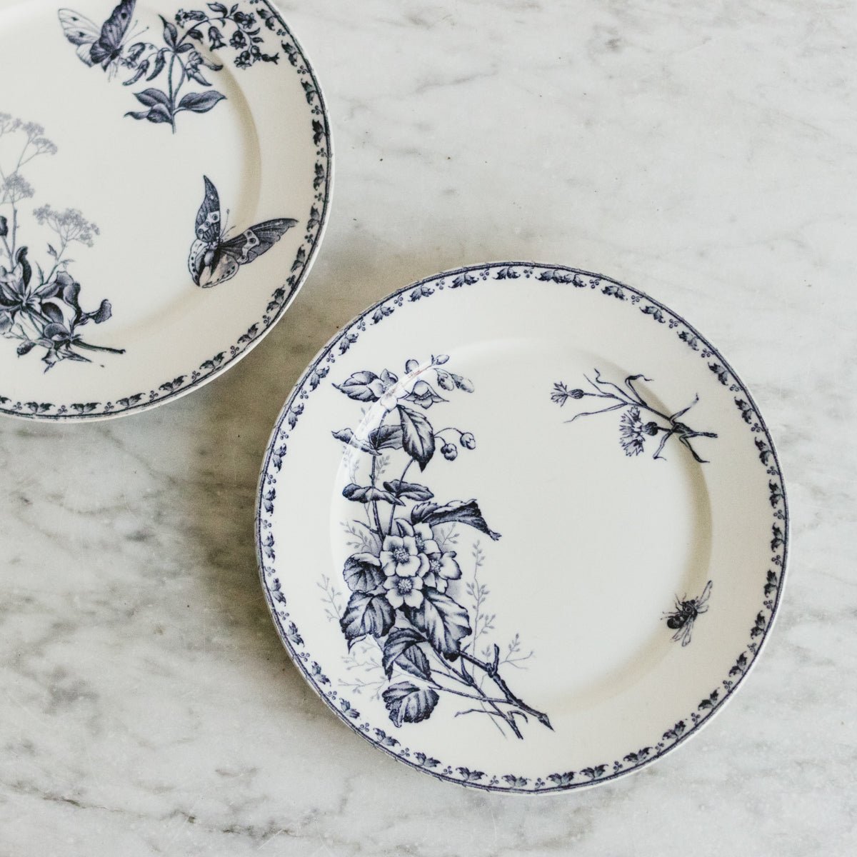 Carmen Transferware Plate Set Of 4 - elsie green - the french kitchen