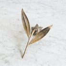 Cast Brass Botanical Sculpture - elsie green - decor
